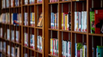 A photo of books on a shelf