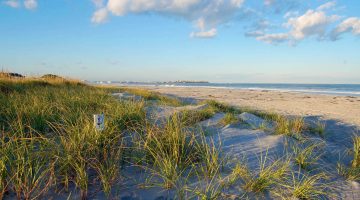A photo of a sand dune