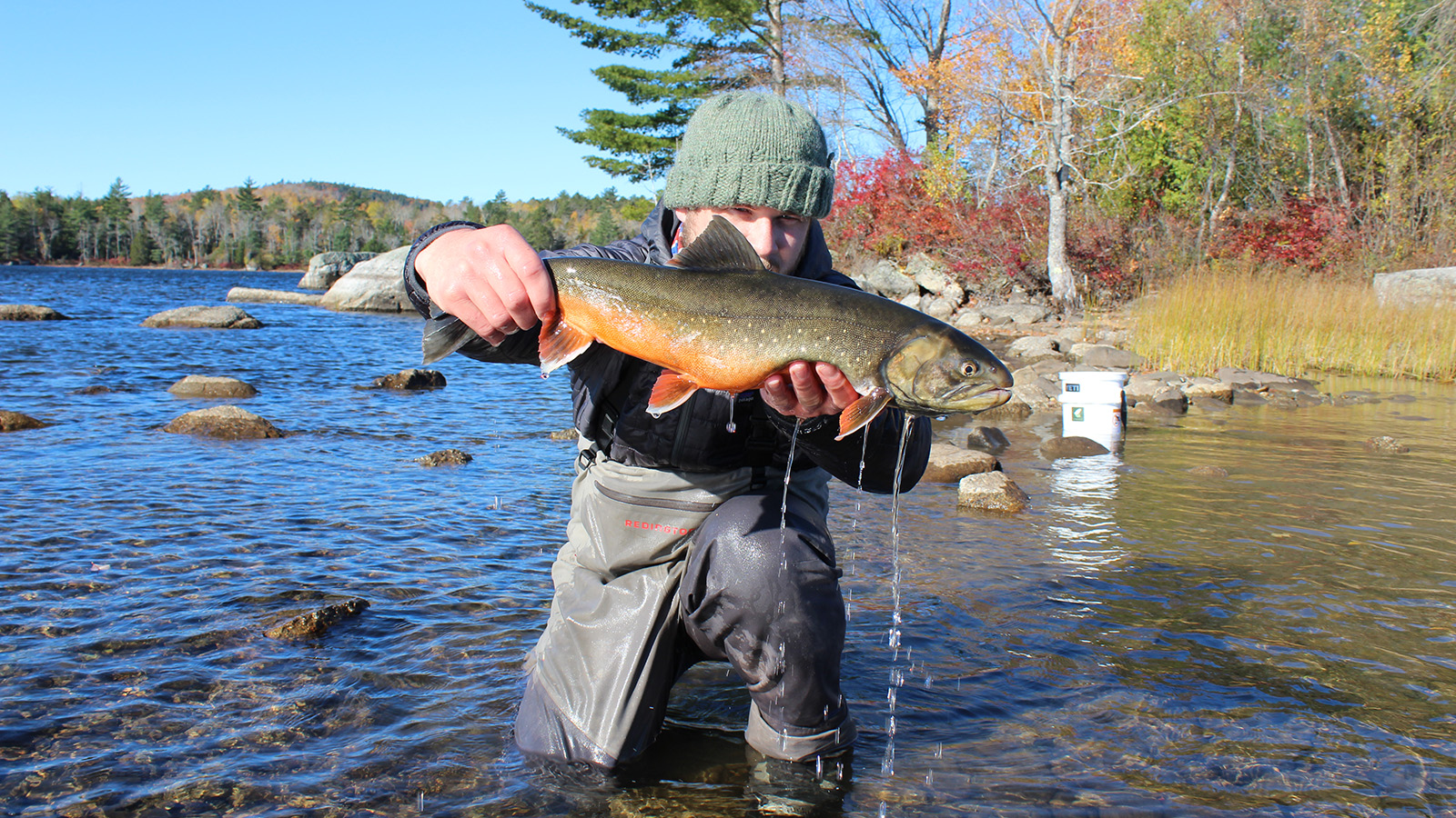 Photo of a man holding a fish while standing in a pond