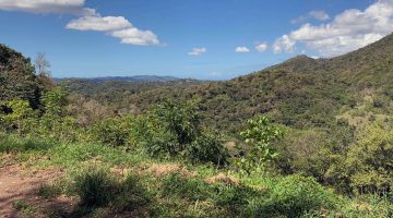 Photo of the National Science Foundation National Ecological Observatory Network site located in the Rio Cupeyes watershed in Puerto Rico in 2019.