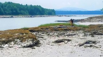 A photo of a person in an estuary with a mountain in the background