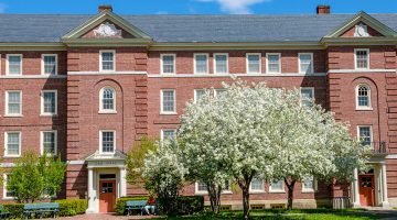 Honorary degree news feature