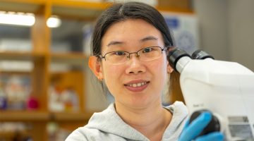 Researcher Zhao Xuan at a microscope.