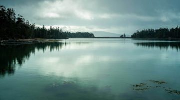 A photo of the Maine coast, mostly in shadow