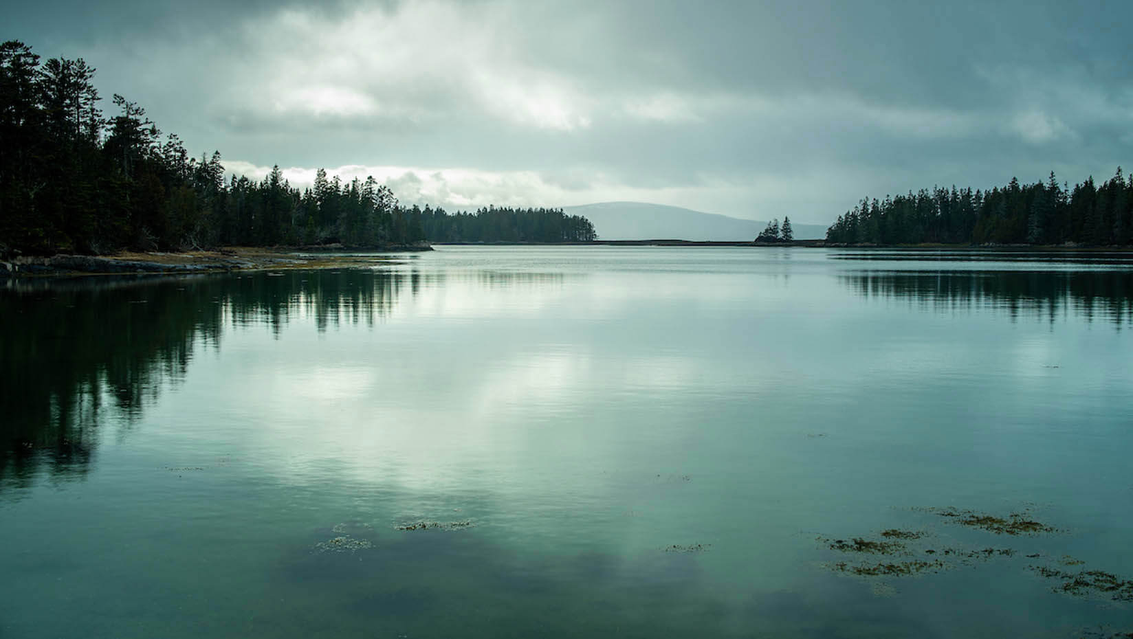 A photo of the Maine coast, mostly in shadow
