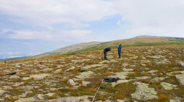 A photo of researchers on a mountain top