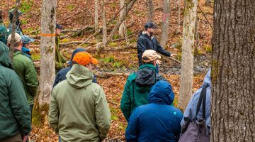 A photo of people standing in the woods, looking at trees