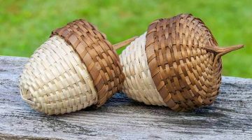 A photo of two acorn baskets