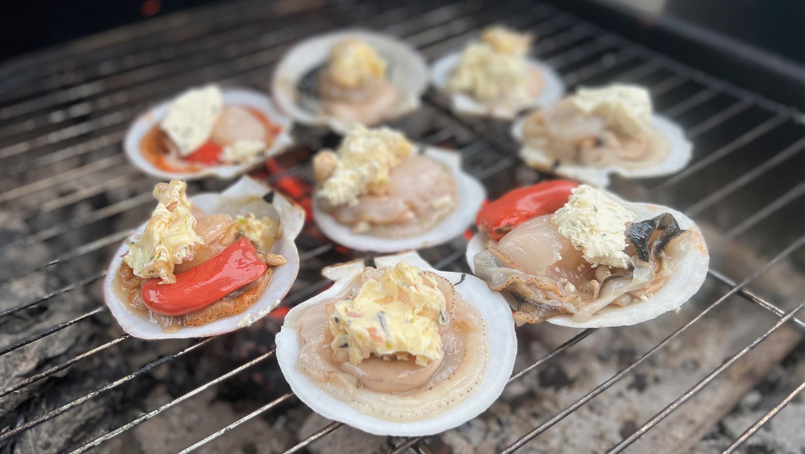 A photo of scallops on the half shell.