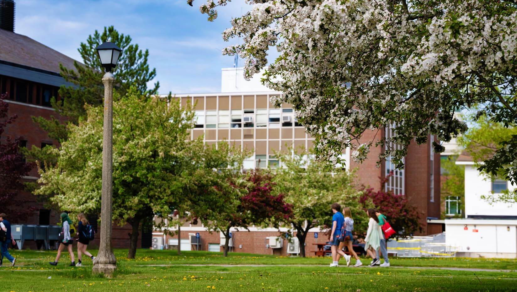 A photo of people walking on UMaine's campus
