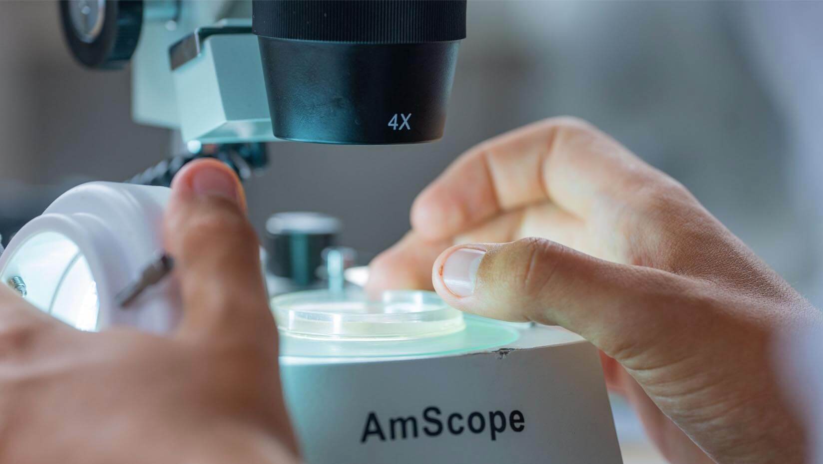 A photo of hands and a microscope