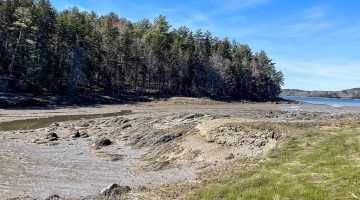 A photo of a coastal cove during low tide