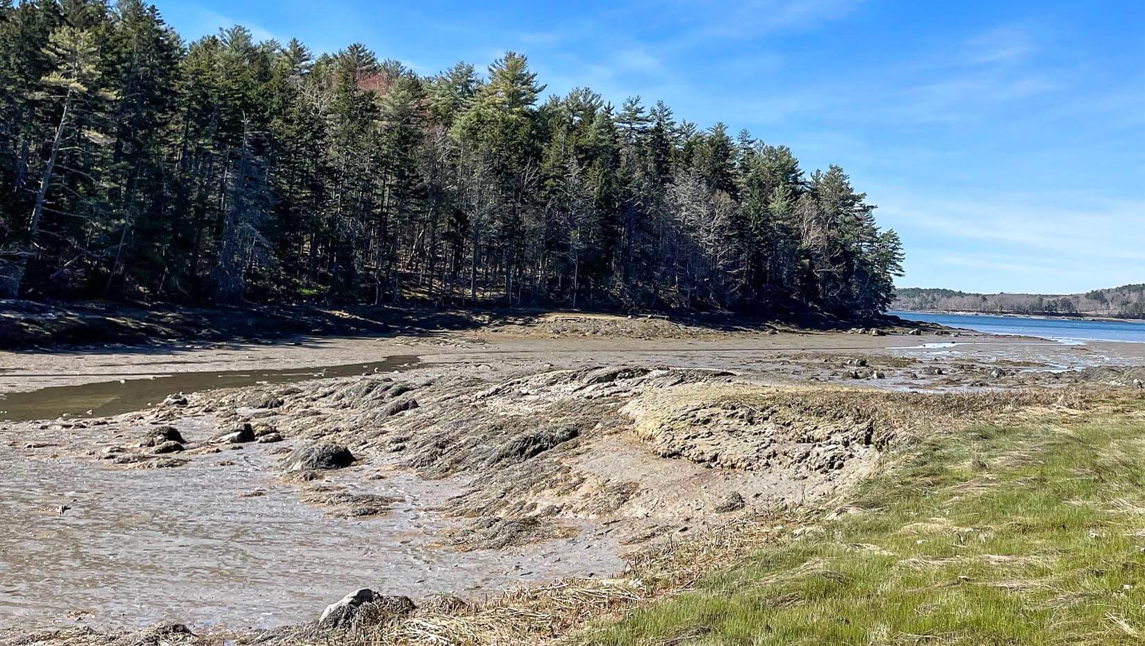 A photo of a coastal cove during low tide