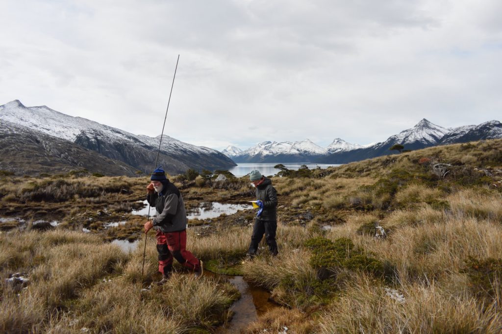 A photo of researchers in a Chilean bog