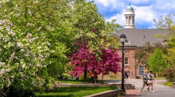 A photo of campus in spring