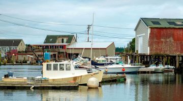 A photo of boats in a harbor