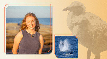 A collage of photos featuring Jamie Fogg, a whale and a bird