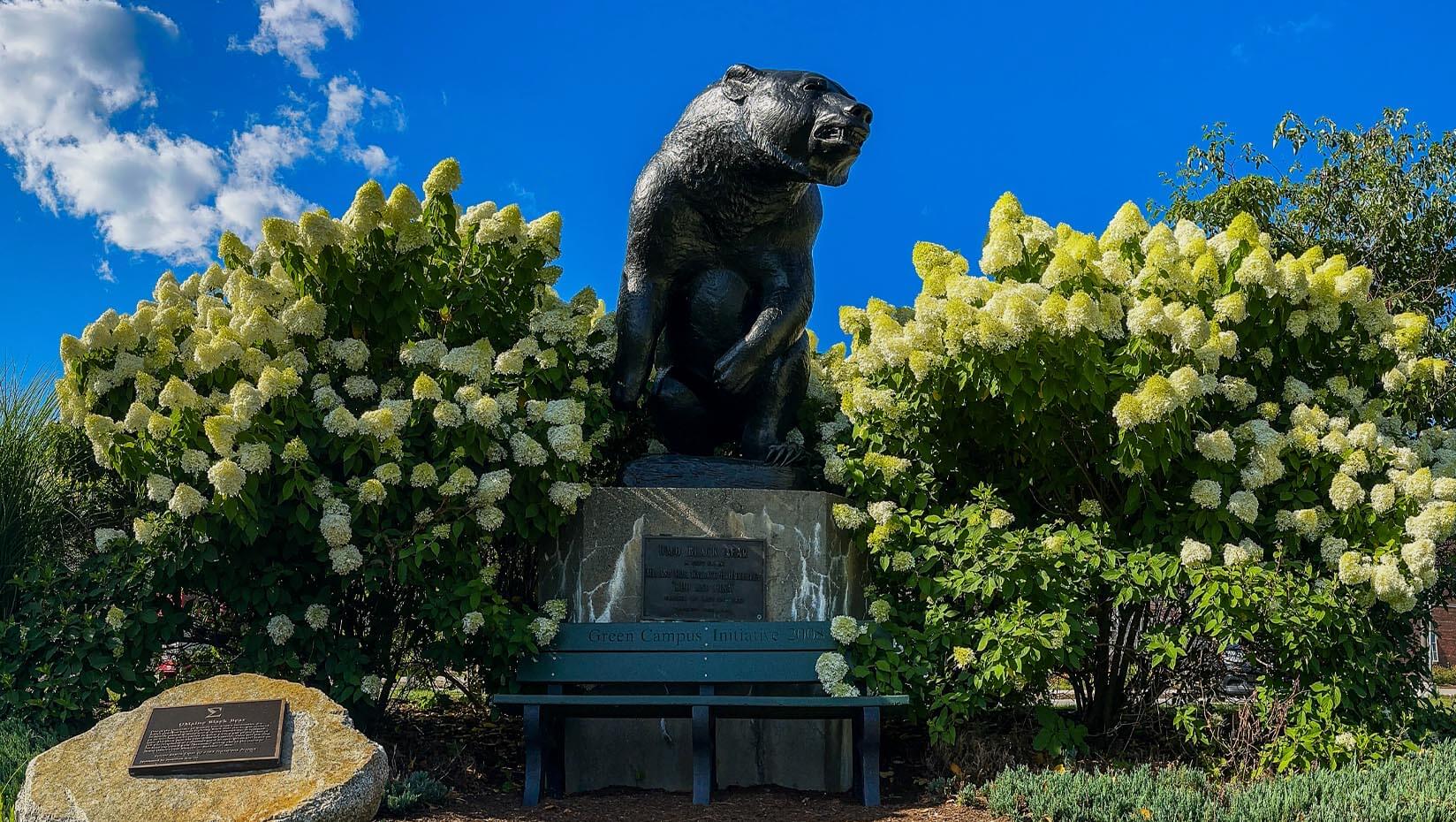 A photo of UMaine's black bear statue
