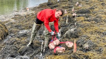 A photo of a person on the coast of Maine