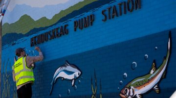 A photo of a person painting a mural on a pump station
