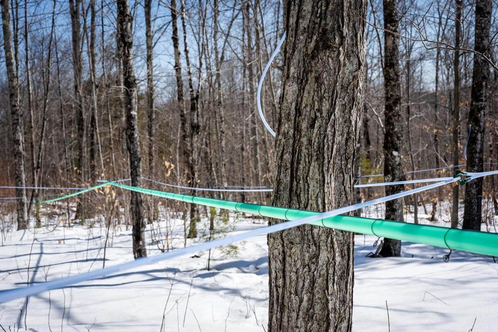 A photo of tubes between trees