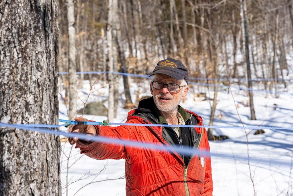 A photo of a person touching the tubes between trees