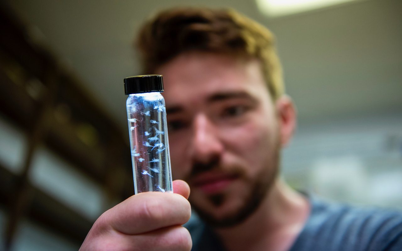 A photo of Alex Ascher