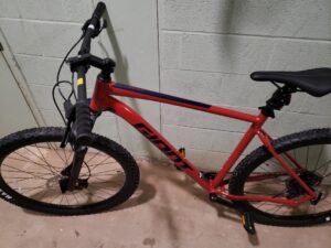 Stolen Bicycle