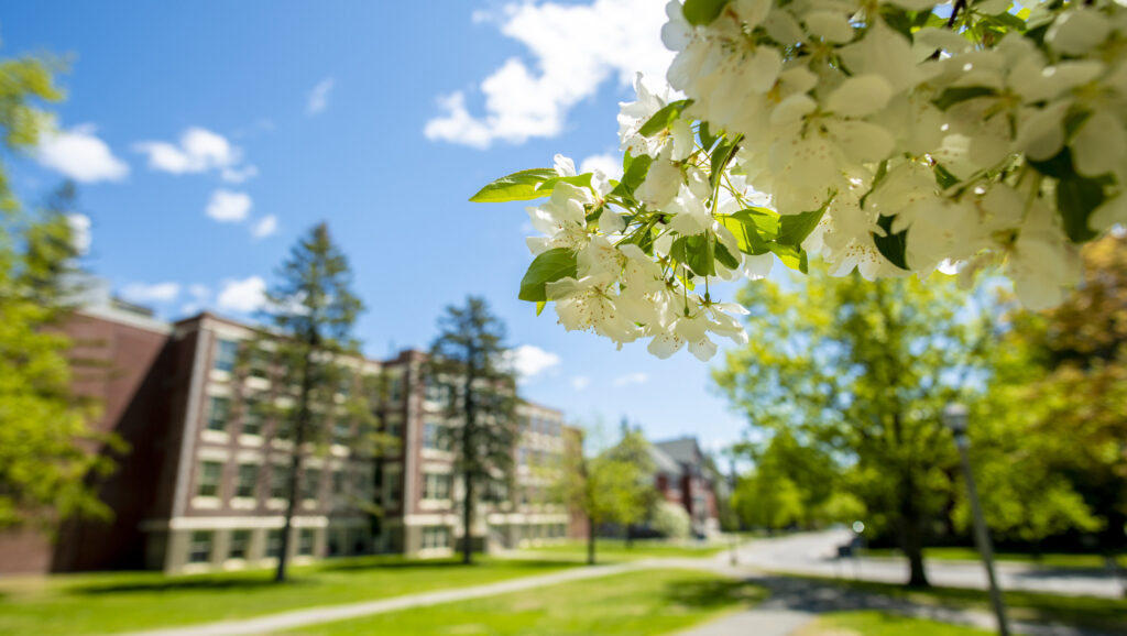 Image of university campus in the spring