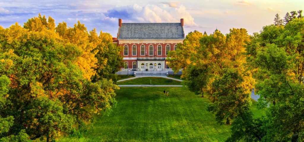 A picture of Fogler Library in the summer in the early evening.