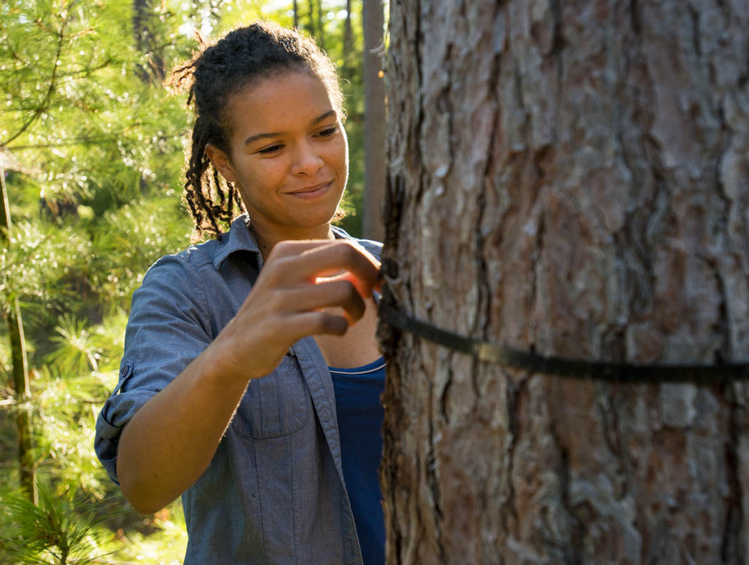 A photo of a student with a tree