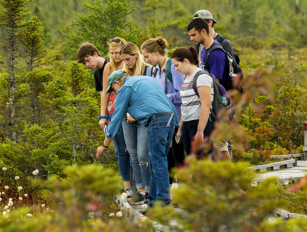 Students and instructor in the woods