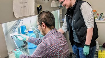 Students work in Maginnis Lab