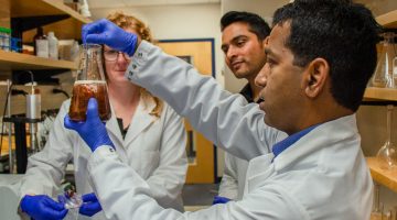 Balu Nayack studies seaweed in lab