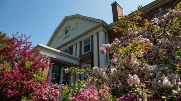 image of flowers on UMaine campus