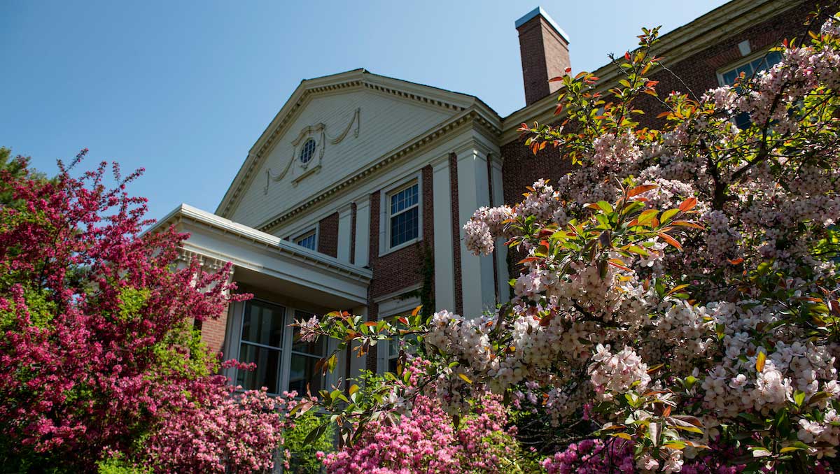image of flowers on UMaine campus