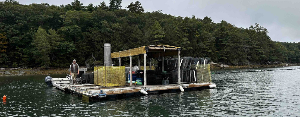 Image of boat dock in water