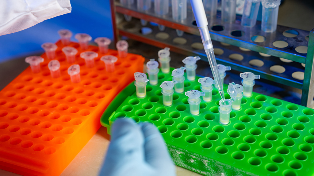 A student processes eDNA samples at UMaine's Center for Genetics and the Environment.