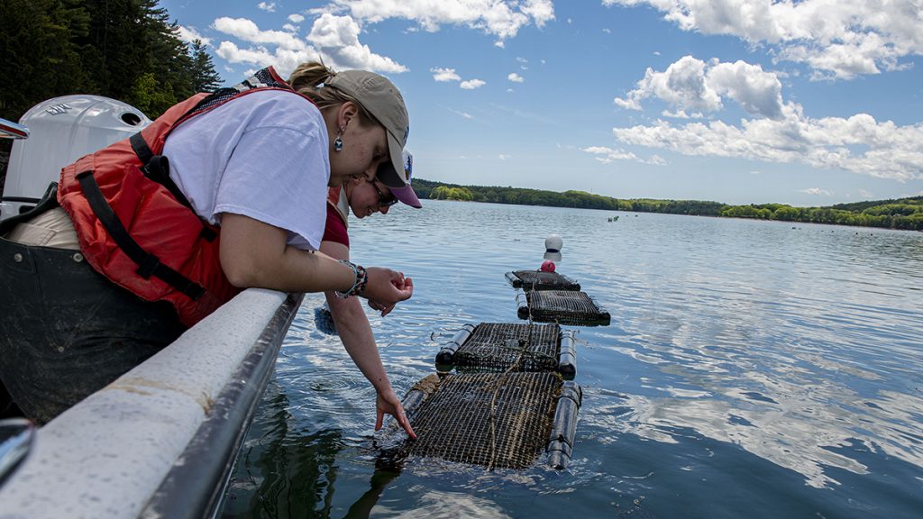 Students visit the Darling Marine Center's aquaculture site by boat.