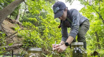 A student from the School of Earth and Climate Sciences sampling streams in Acadia National Park for microplastics.