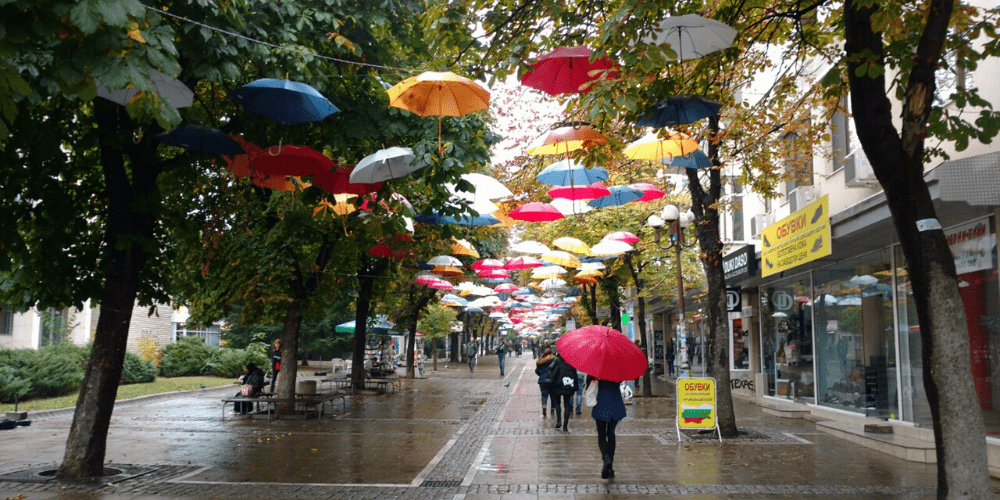 American University in Bulgaria