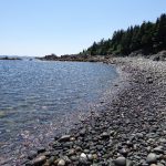 Rogue Bluffs State Park beach