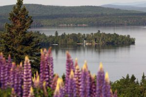 Rangeley Western Maine