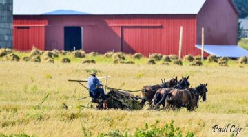 Another Farm in Fort Fairfield