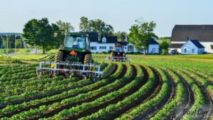 Farm in Presque Isle