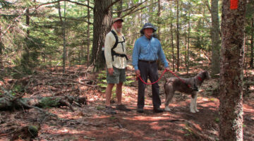 walking in the woods with Harry