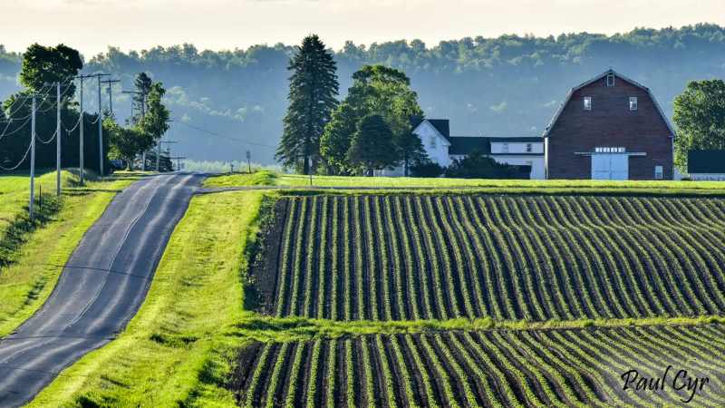 Presque isle farm