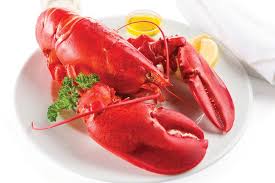 DownEast Seafood Galore Itinerary