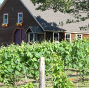 Catherine Hill Winery Cherryfield