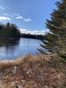 Machias River Preserve Trail